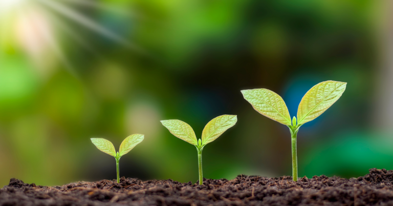 Leading From Within: Toxic Culture Starts At The Top, But So Does The Cure